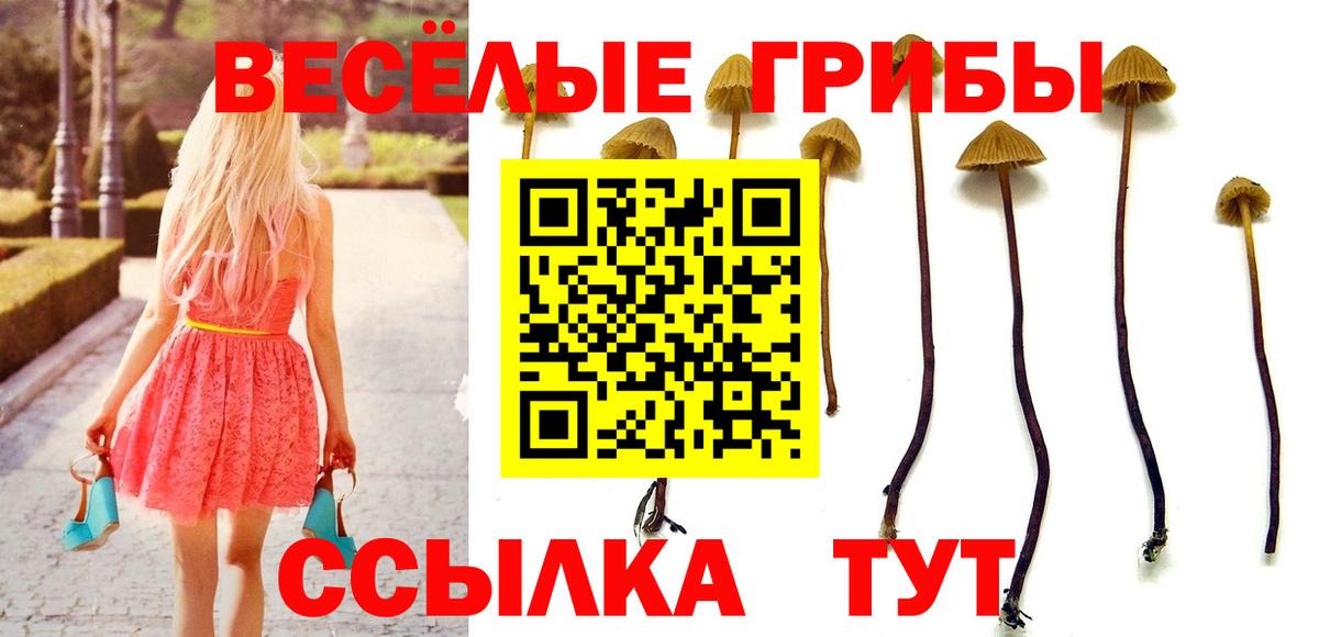 Галлюциногенные грибы Psilocybine cubensis  Псилоцибиновые грибы Psilocybine cubensis  Вход с VPN  Менделеевск 